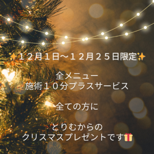 クリスマスプレゼント